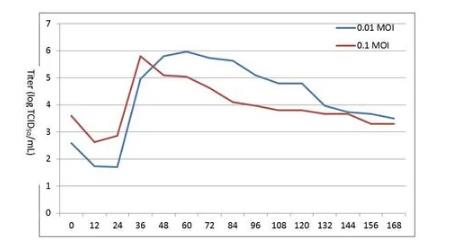 小反芻獸疫病毒生長曲線繪制及生長特性分析