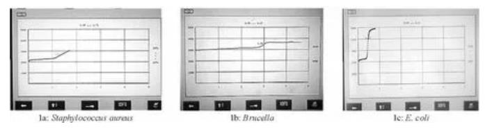 ?布魯菌血培養儀結果及生長曲線特點研究