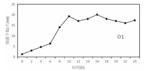 球形芽孢桿菌生長曲線變化
