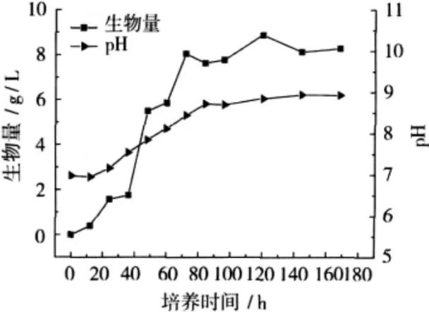 ?刺糖多孢菌生長曲線的測定與最佳培養溫度