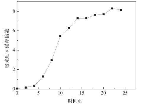 ?酵母菌生長周期及生長曲線測定操作步驟