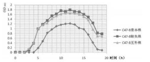 牦牛源多殺性巴氏桿菌C47-8株體外生長曲線的測定結果