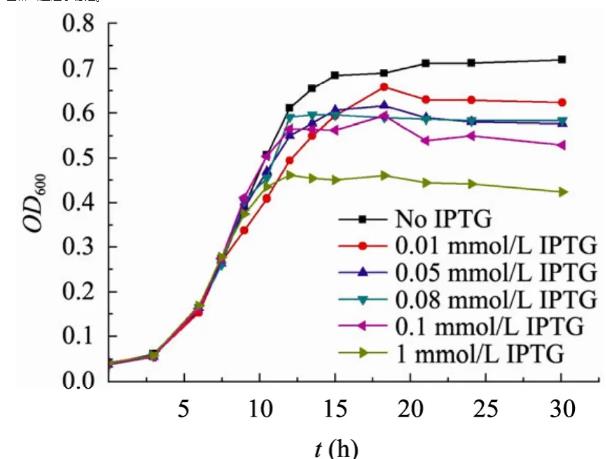 pPopctrl質粒轉化的大腸桿菌top10F生長與突變規律
