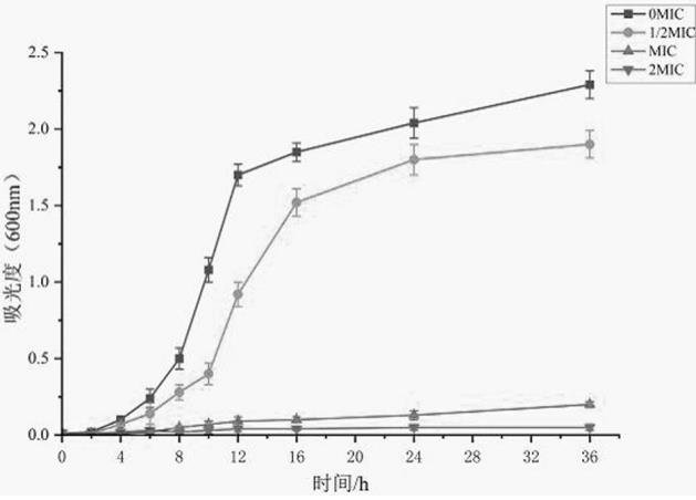 桑酮G對(duì)單增李斯特菌生長曲線的影響