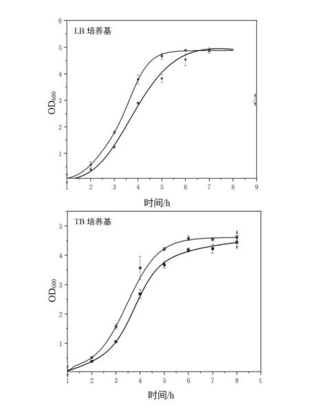 多抗噬菌體菌株大腸桿菌E.coli PRE12在LB培養(yǎng)基和TB培養(yǎng)基下的生長(zhǎng)曲線圖