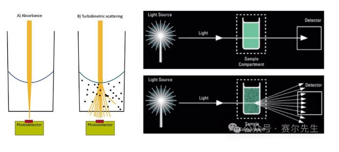 ?OD600是什么意？OD600測(cè)量細(xì)胞濃度的原理