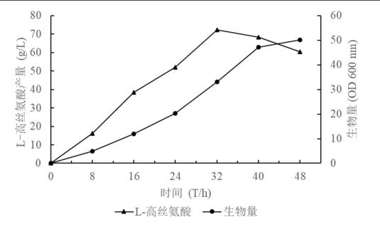 高產L-高絲氨酸的重組大腸桿菌的構建方法及應用
