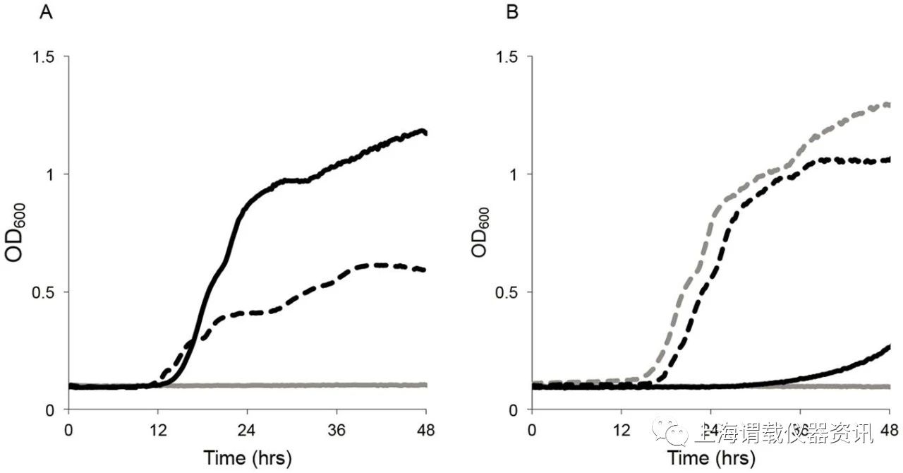 鼠疫桿菌菌株在麥芽糖培養(yǎng)基環(huán)境下對應(yīng)的生長曲線圖