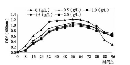 不同濃度的表面活性劑PEG6000、SDS脅迫培養(yǎng)對細菌生長的影響【上】