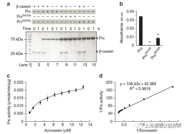 VgrS受體細(xì)菌組氨酸激酶在NYG培養(yǎng)基中的的生長曲線圖