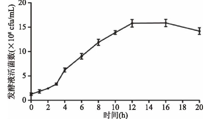 鼠李糖乳桿菌生長曲線、溫度誘導(dǎo)對菌體生長速率的影響