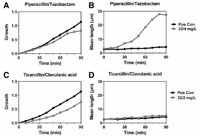 微生物生長動態監測系統的應用：研究β-內酰胺類抗生素對絲狀化的誘導能力
