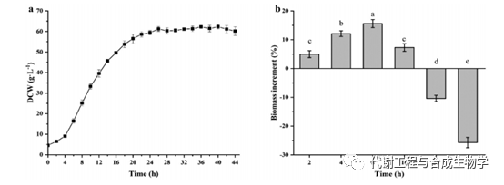 超聲波處理對谷氨酸棒狀桿菌生長、形態、通透性的影響