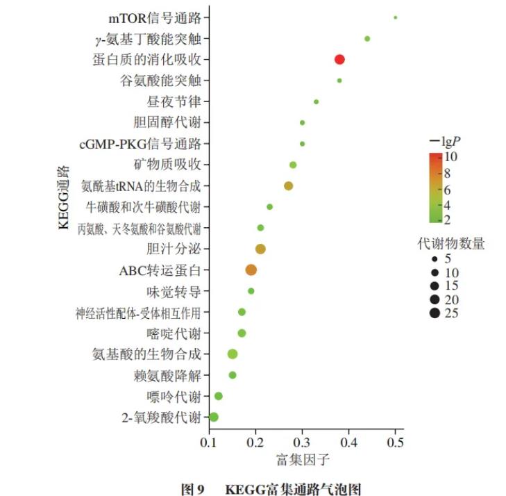 新一代益生菌Akk在兩種培養基中的生長情況與差異性代謝組學分析結果（二）