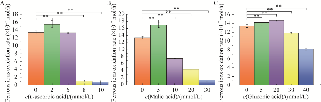 10種有機(jī)物對(duì)氧化亞鐵硫桿菌BYM磁小體生長、合成、發(fā)酵、產(chǎn)量的影響（一）
