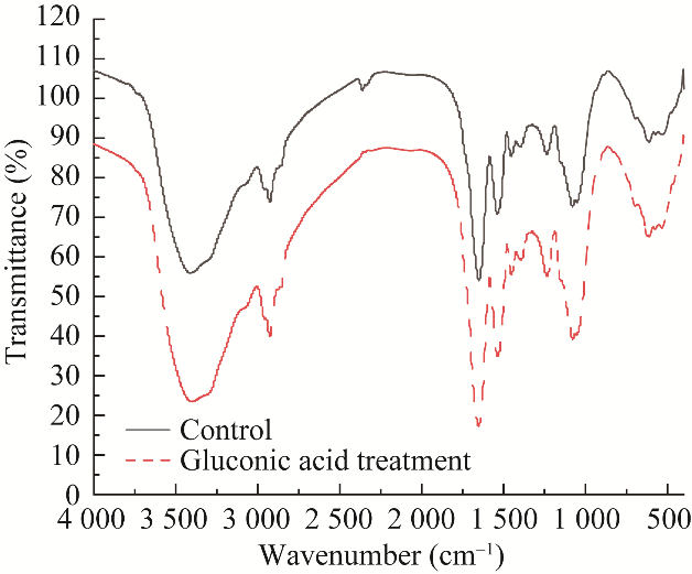 10種有機(jī)物對(duì)氧化亞鐵硫桿菌BYM磁小體生長、合成、發(fā)酵、產(chǎn)量的影響（三）