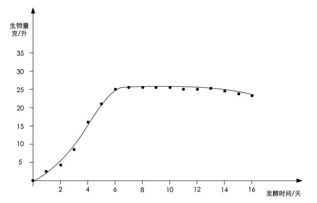 紅曲霉發酵方法、生長曲線及工藝優化