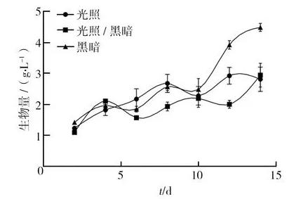 不同光照、pH條件對血紅密孔菌培養過程中生物量、總抗氧化能力的影響（一）