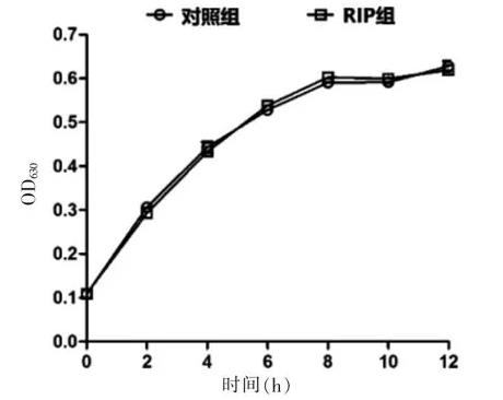 RIP 衍生物對?耐甲氧西林金黃色葡萄球菌生長曲線及生物膜形成的影響（一）