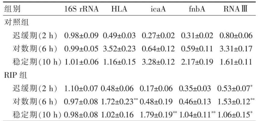 RIP 衍生物對?耐甲氧西林金黃色葡萄球菌生長曲線及生物膜形成的影響（二）