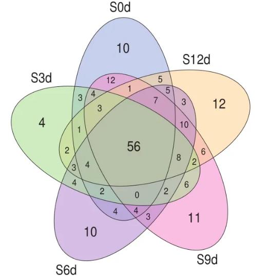 利用細菌生長曲線表征芳樟醇對三文魚莓實假單胞菌MS 02的抑菌效果（一）