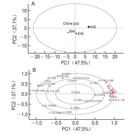 黃豆發(fā)酵工藝：微生物與風(fēng)味物質(zhì)生成的相關(guān)性分析