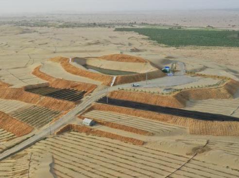 ?沙漠微生物菌株的應用價值有哪些