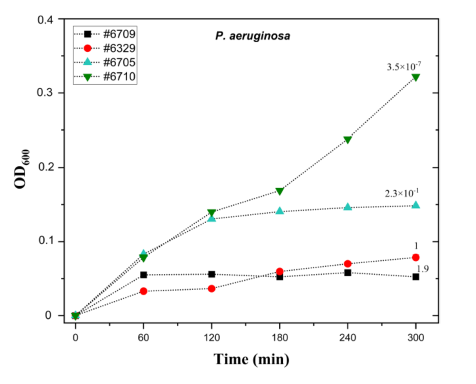基于水凝膠的快速液體噬菌體敏感性測定，通過液體生長測定來測量細菌生長