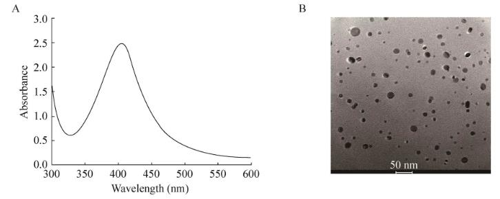 納米銀的制備方法及對小麥赤霉病菌抗菌活性的影響（一）
