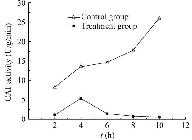 納米銀的制備方法及對小麥赤霉病菌抗菌活性的影響（二）