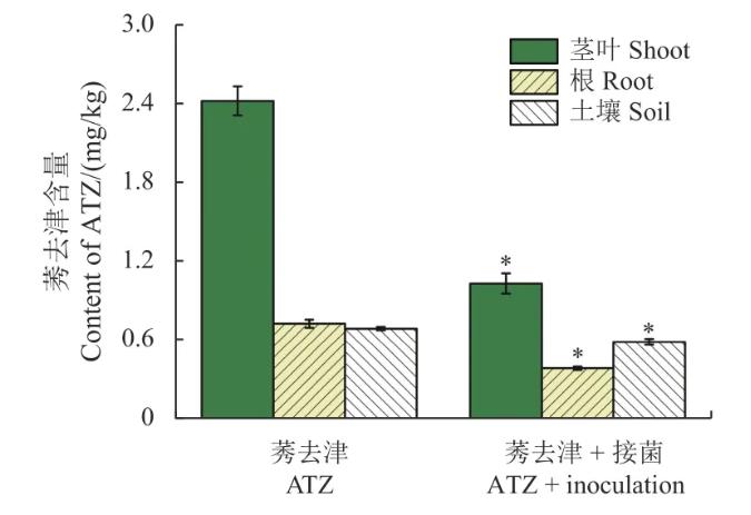 莠去津對水稻根際土壤微生物菌群結構及降解基因豐度的影響（二）