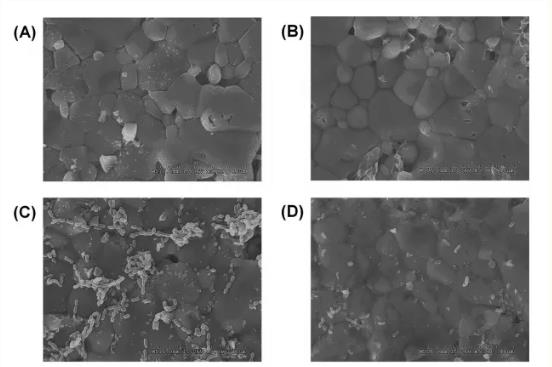棉子糖抑制變異鏈球菌生物膜形成機制研究進展（二）