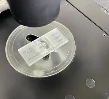 尿路感染患者尿常規(guī)檢驗時，如何對細菌計數(shù)？