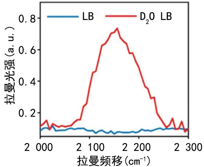 快速藥敏檢測方法、發展現狀|拉曼光譜在RAST領域中的應用（一）