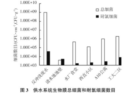 東北某市寒區(qū)湖庫型主體水和生物膜中耐氯菌數(shù)目、再生長現(xiàn)象研究（二）