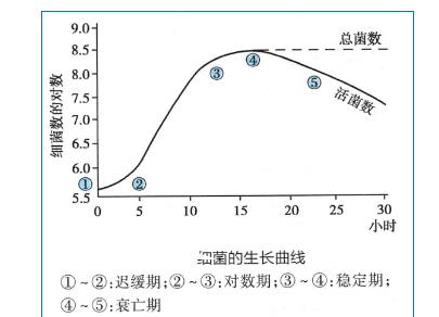 細菌生長曲線時期劃分、生長繁殖條件及規律