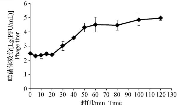 維氏氣單胞菌分離與純化、一步生長(zhǎng)曲線、熱穩(wěn)定性及pH穩(wěn)定性研究（二）