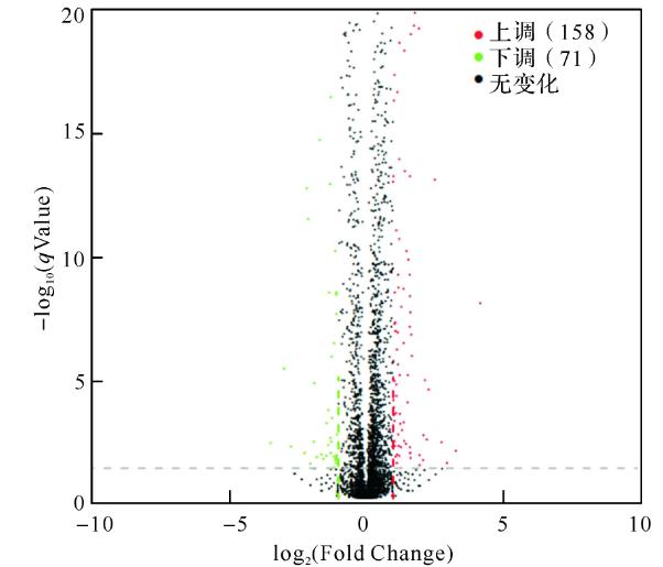 模擬失重條件下大腸埃希菌轉(zhuǎn)錄組測(cè)序、差異基因及富集分析結(jié)果（二）
