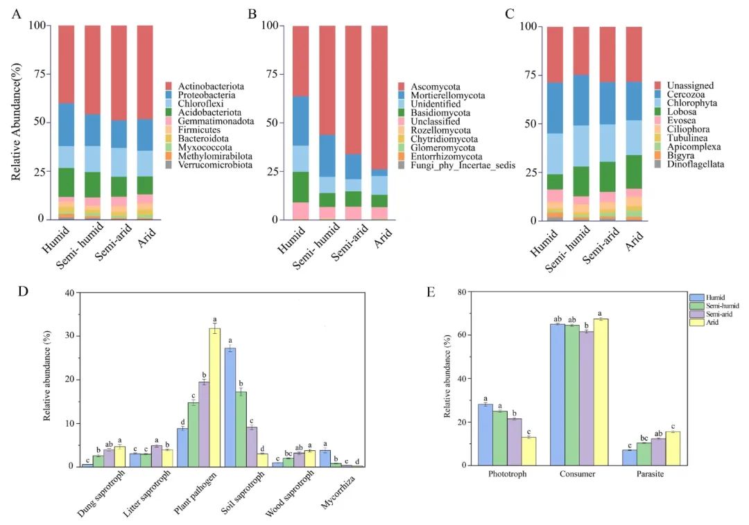 干旱對(duì)青藏高原高寒草原微生物共現(xiàn)網(wǎng)絡(luò)和土壤功能的影響（一）
