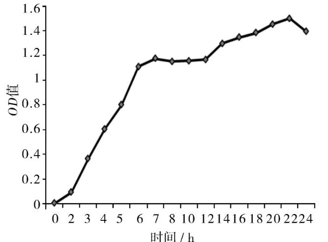 鯽魚戴氏西地西菌生長(zhǎng)曲線繪制及藥敏試驗(yàn)結(jié)果（二）