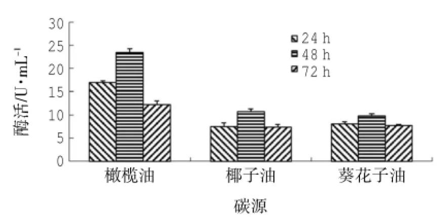 產脂肪酶地衣芽孢桿菌LD-1302篩選、培養基及產酶條件研究（三）