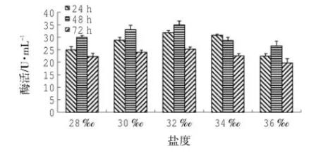 產脂肪酶地衣芽孢桿菌LD-1302篩選、培養基及產酶條件研究（五）