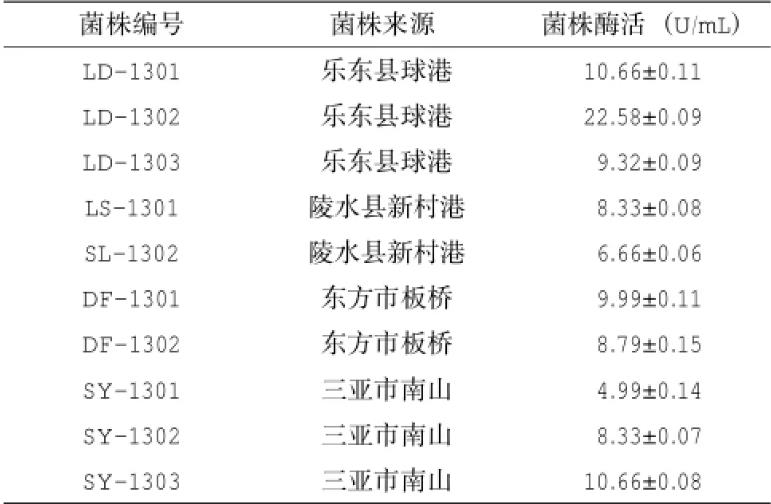 產脂肪酶地衣芽孢桿菌LD-1302篩選、培養基及產酶條件研究（二）
