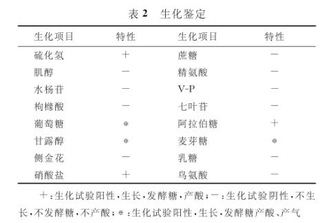 蒼鷺養殖如何控制沙門菌病？用什么藥好【藥敏試驗二】