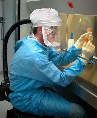 反芻動物瘤胃微生物區系組成與飼料利用率