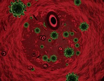 中草藥及提取物調控瘤胃菌群的代謝組學研究