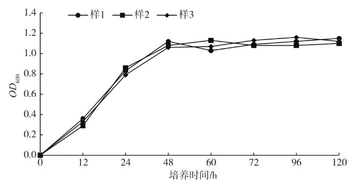 制藥廢水生化處理過程中硝化菌分離篩選、生長曲線的測定（二）
