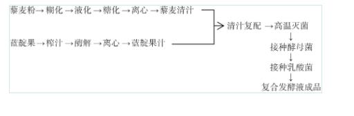 藜麥和藍靛果酵母菌株篩選、培養、計數及混菌液態發酵工藝優化（一）