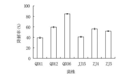 嘔吐毒素又叫什么？降解嘔吐毒素菌株特征、危害研究