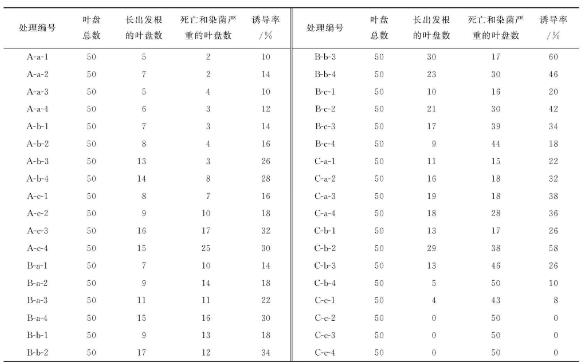 發根農桿菌Ri質粒構建燈盞花發根最優的培養體系（二）